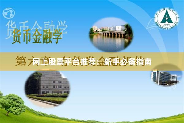 网上股票平台推荐：新手必备指南