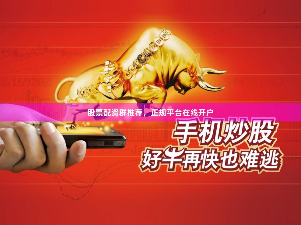 股票配资群推荐,正规平台在线开户