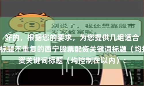 好的，根据您的要求，为您提供几组适合SEO收录、且标题不重复的西宁股票配资关键词标题（均控制在以内）：