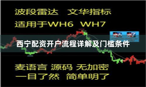 西宁配资开户流程详解及门槛条件